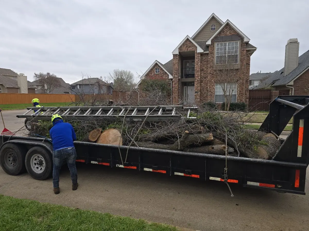 Expert Tree Removal with proper safety equipment in Kirbyville